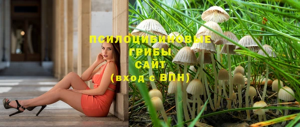 герыч Алзамай
