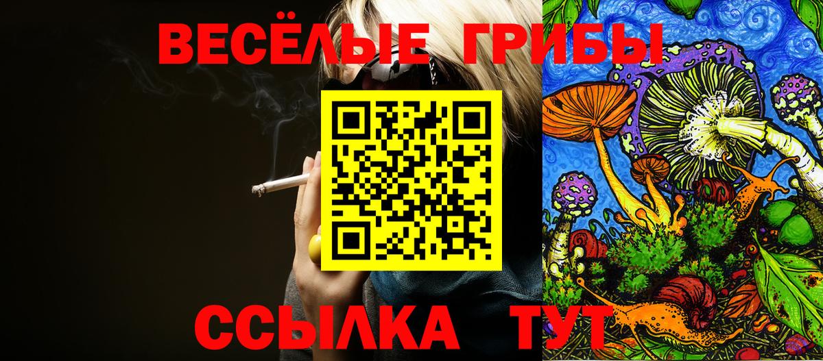 Лысьва  Галлюциногенные грибы Cubensis  Вход с VPN  Псилоцибиновые грибы прущие грибы 